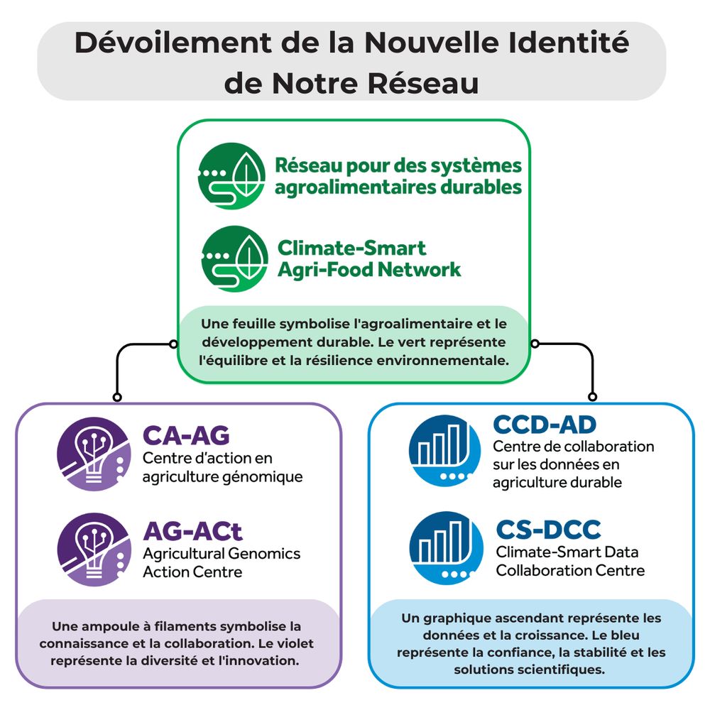 Dévoilement de la Nouvelle Identité de Notre Réseau 
 
Une feuille symbolise l'agroalimentaire et le développement durable. Le vert représente l'équilibre et la résilience environnementale. 
 
Une ampoule à filaments symbolise la connaissance et la collaboration. Le violet représente la diversité et l'innovation. 
 
Un graphique ascendant représente les données et la croissance. Le bleu représente la confiance, la stabilité et les solutions scientifiques.  