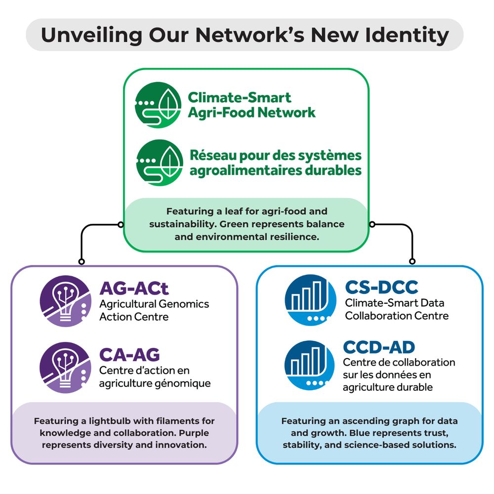 Unveiling Our Network’s New Identity 

Featuring a leaf for agri-food and sustainability. Green represents balance and environmental resilience. 
 
Featuring a lightbulb with filaments for knowledge and collaboration. Purple represents diversity and innovation. 
 
Featuring an ascending graph for data and growth. Blue represents trust, stability, and science-based solutions.