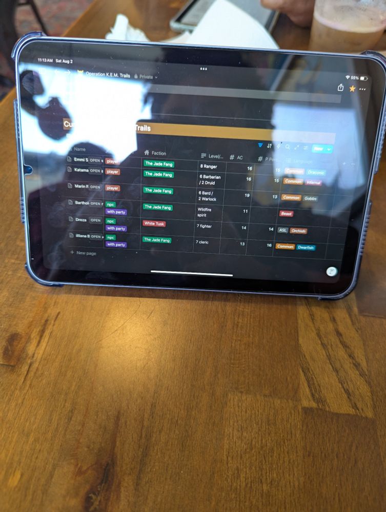 iPad mini displaying a notion page with characters and stats listed