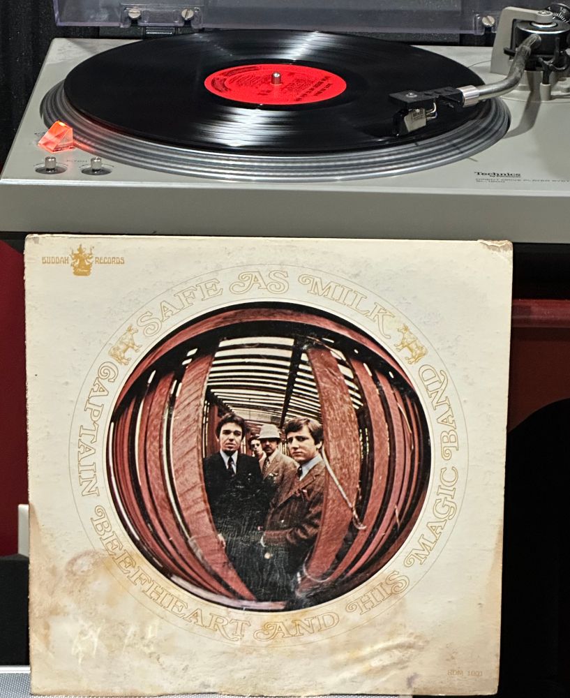 Fisheye image of the band members in some kind of wooden slat enclosure with widely spaced slats. 