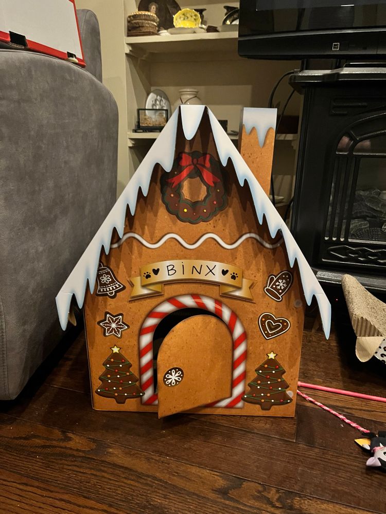 a cardboard cat house that looks like a gingerbread house. above the arched doorway in a gold ribbon it says binx