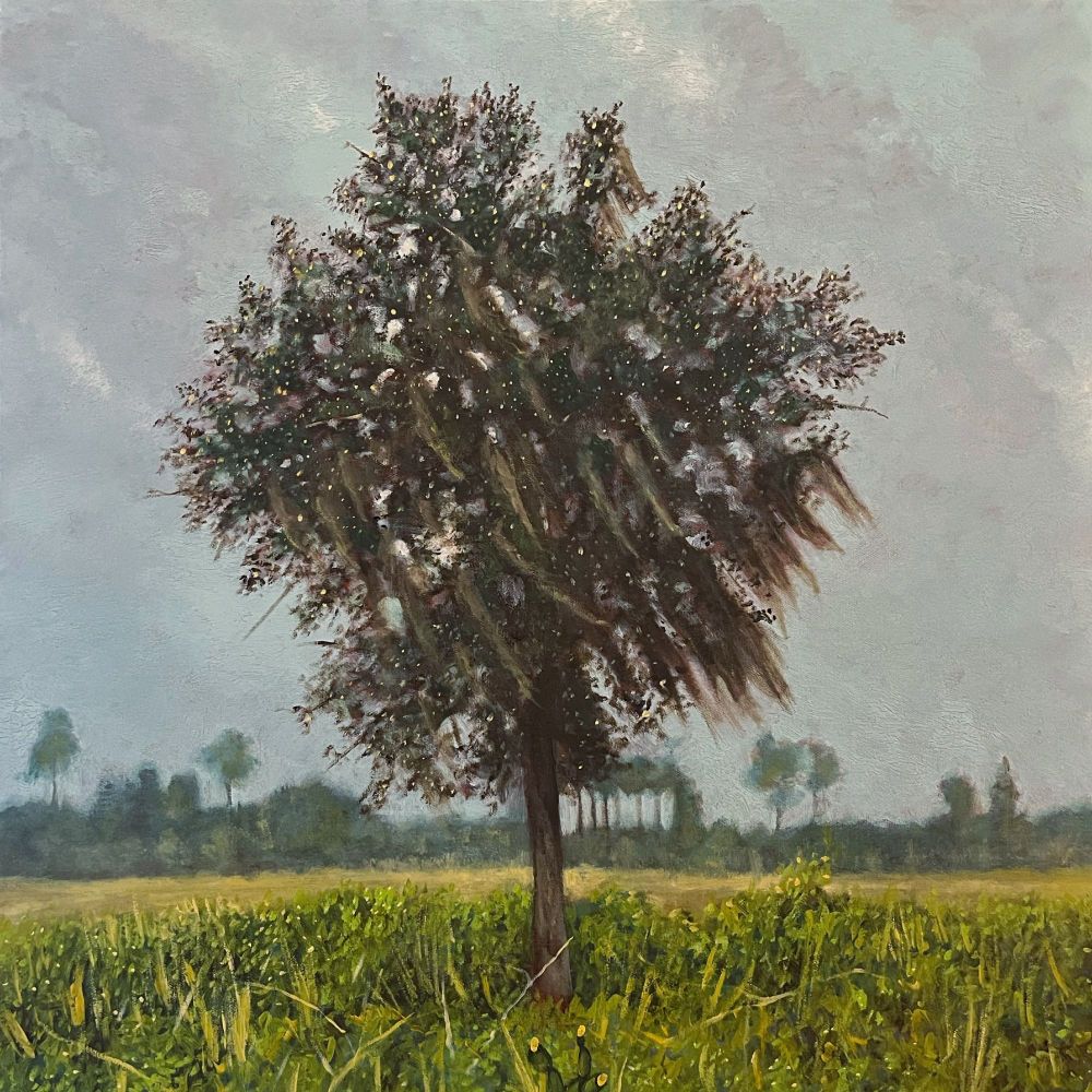A painting of a large turkey oak tree situated in a field of Florida scrub and grass.