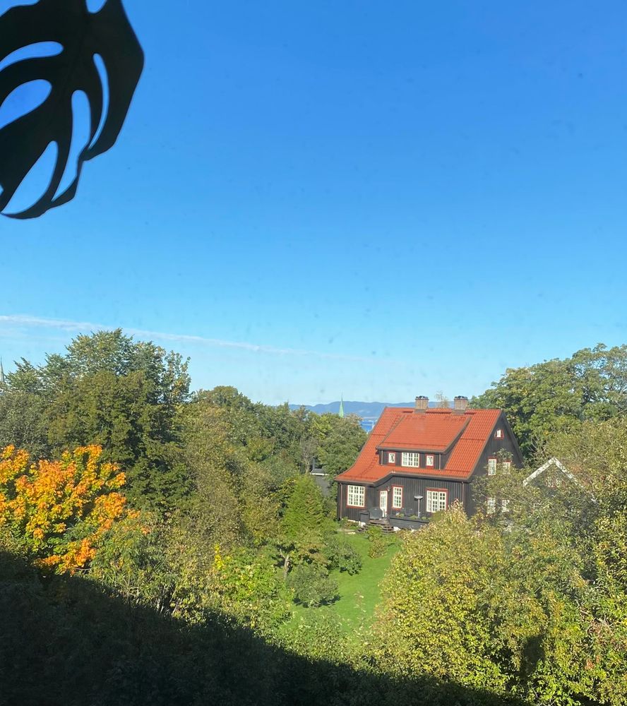 Fra kontorvindu i tredje etasje ser vi ut mot et erværdig brunt hus med rødt tak. Stor hage med trær som begynner å gulne/rødme. Himmelen er høy og skyfri og det grønne spiret på Nidarosdomen kan skimtes i det fjerne.