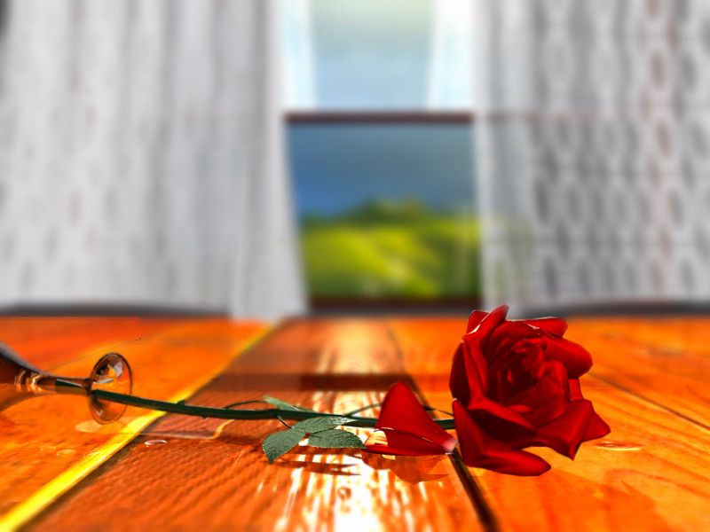 A single rose, spilled gently onto a wet table. Not sure how to explain this but the whole scene is very sensual and lurid despite only really depicting a mess somebody's going to have to clean up. I mean I guess you could describe a lot of stuff people do when they're naked that way but there's definitely not people in this picture. So what the fuck