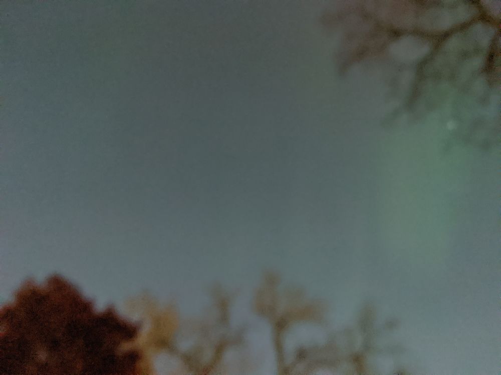 blurry trees with aurora streaks in the sky, mostly green