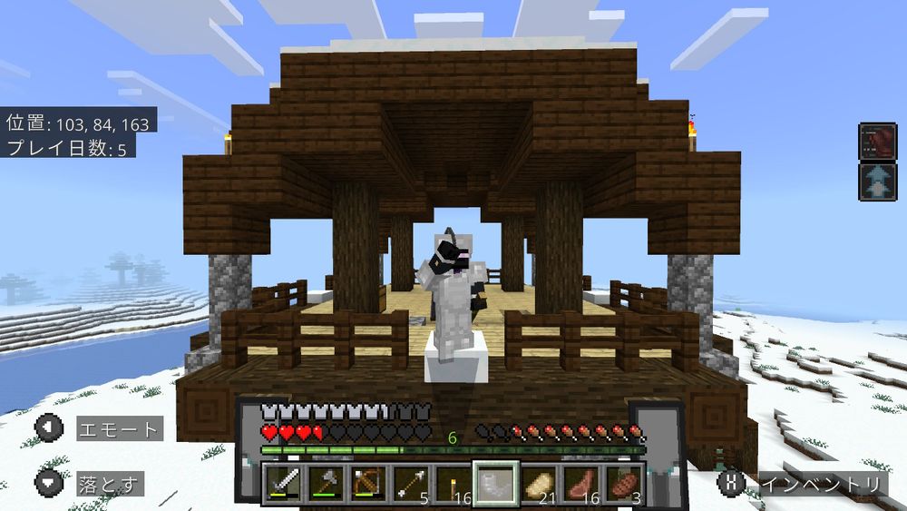 勝ったぞおおおお！！