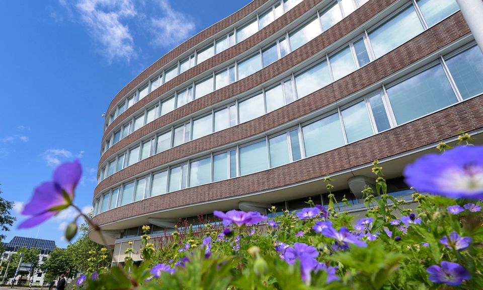 Bloemen voor het provinciehuis in Den Haag.