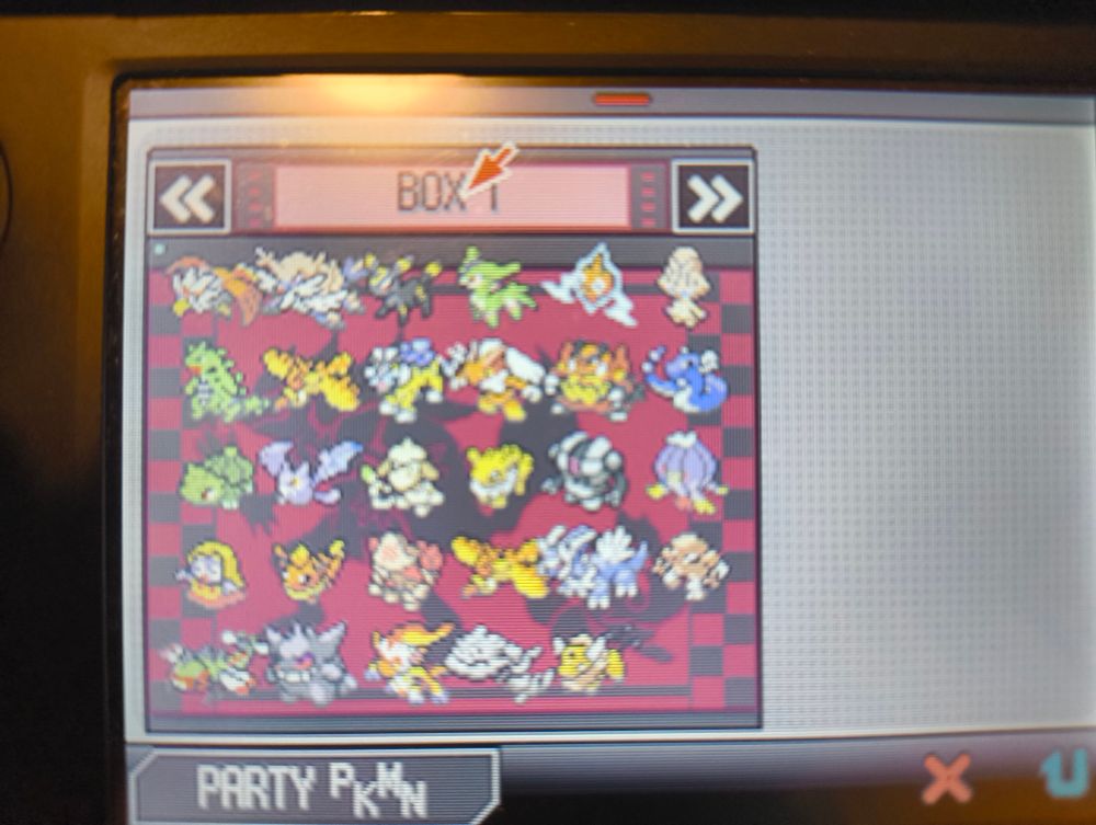 Lonan's Pokémon box. Multiple legendaries and high level Pokémon are stored
