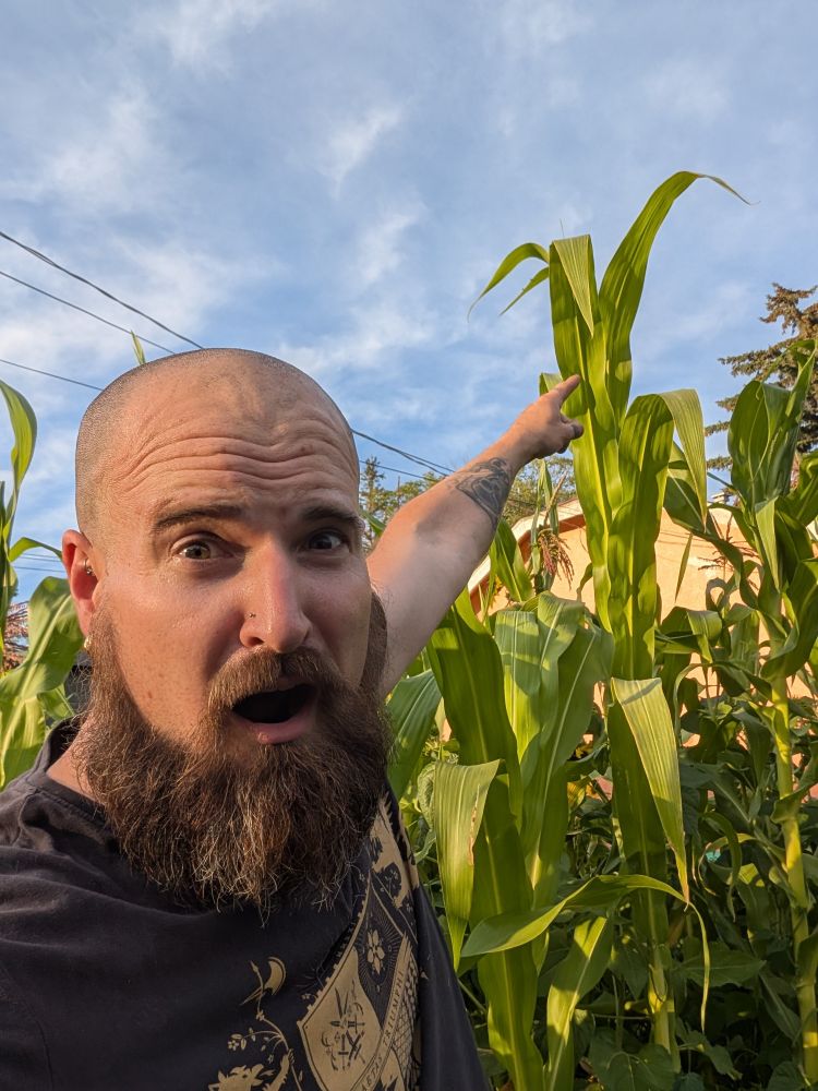 Meme pointing at huge corn. 