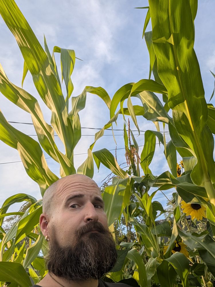 Head and shoulders above me, not forced perspective.