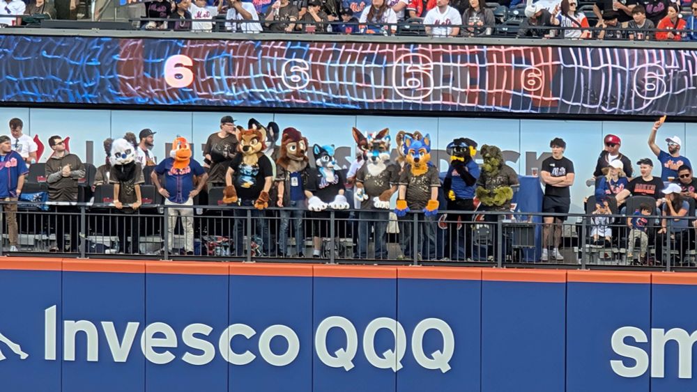 9 furries in heads and hands at citifield