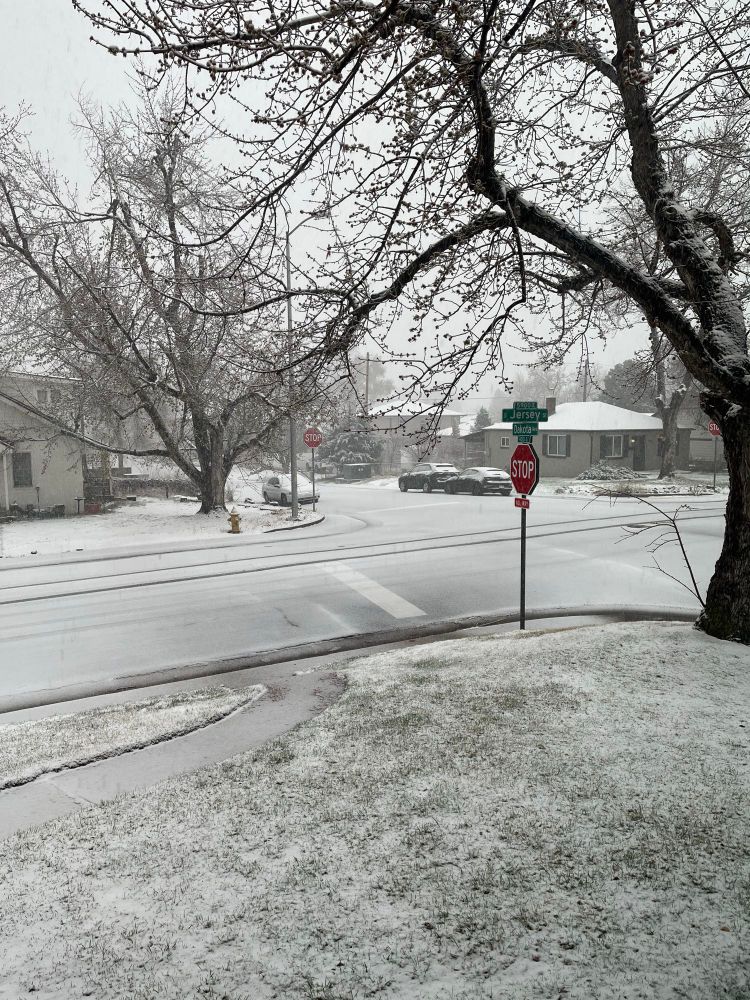 4–way street intersection with light snow falling and accumulating on both streets and grass. 