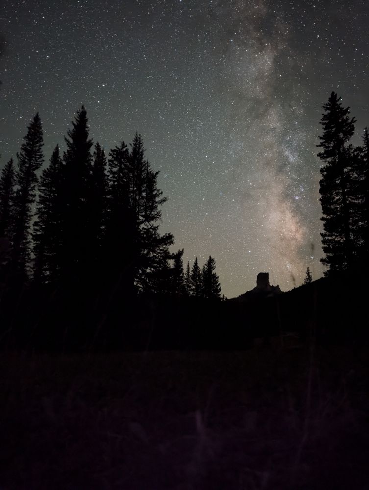 The Milky Way rises above a pillar-like mountain with dark shapes of pine trees set against a field of stars