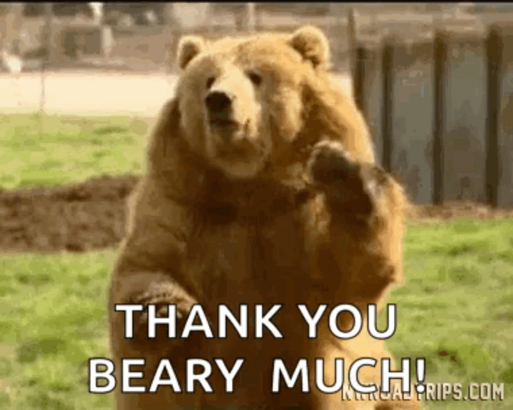 Bear Byebear GIF