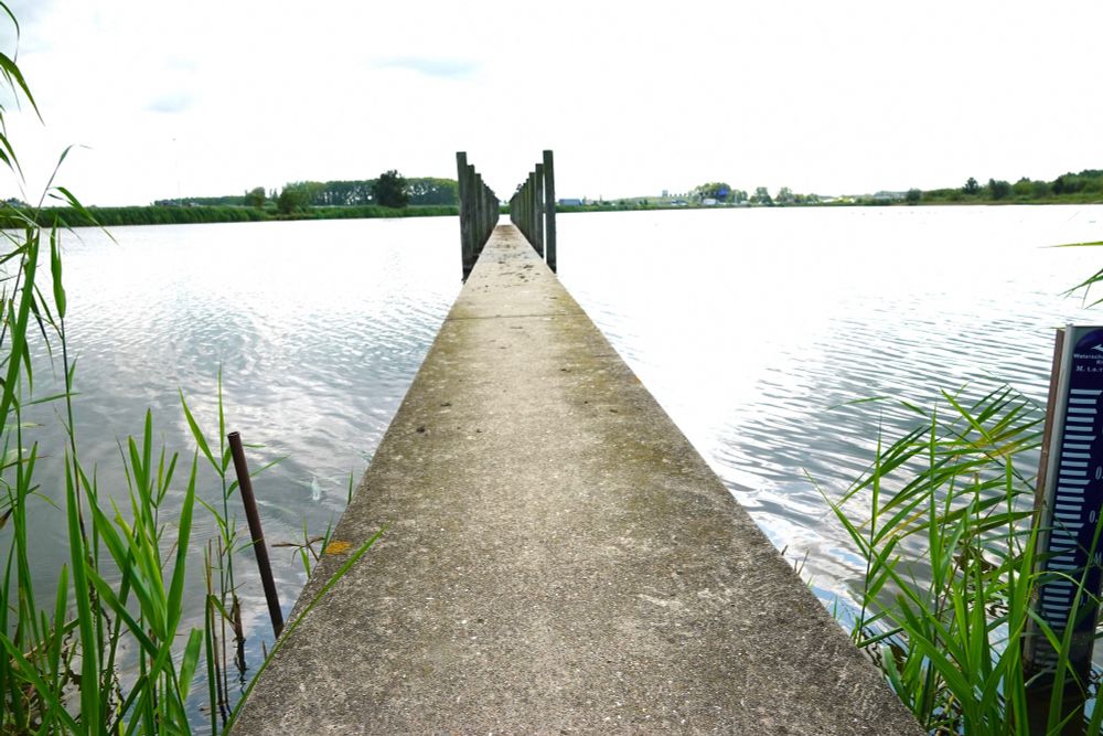Lange betonnen pier over rustig water. De houten palen aan beide zijkanten vormen een symmetrisch perspectief. In de verte zie je groene bomen en struiken.