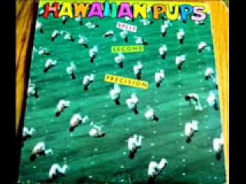 Hawaiian Pups - Baby Judy [US, New Wave] (1983) Many college radio stations in the US banned this song because their student DJs played it too much. Now it is NOT available at any music service, and this YouTube video is all that remains.