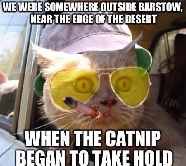  Bezos is a pussy even if he’s not in Barstow 