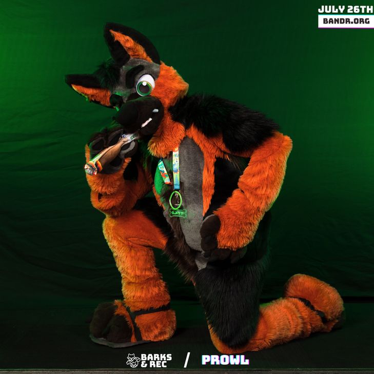 Dog fursuiter smoking a blunt