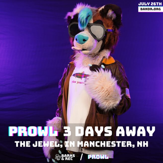 Dog fursuiter with sunglasses on