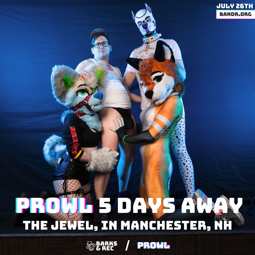 two furries on their knees one is dog the other is a fox, the are standing in front of two people with their hands on them posing and looking at the camera.