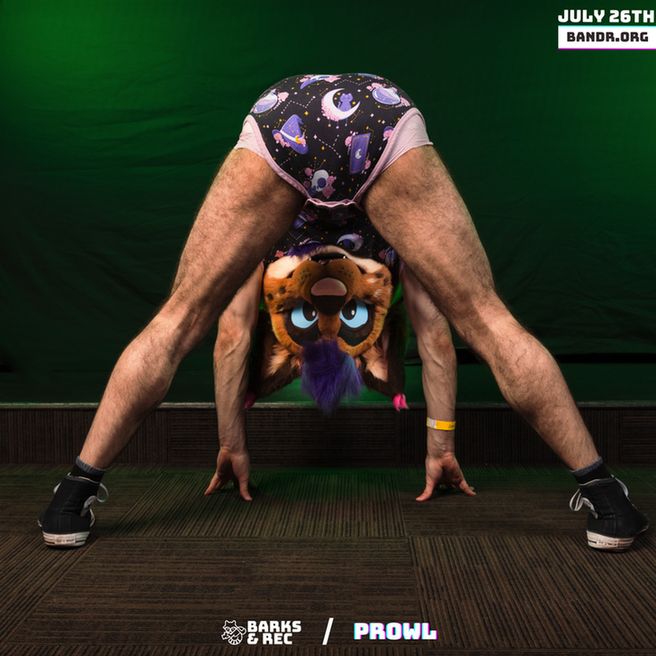 Cat fursuiter on hands and feet looking under their body at the camera with their diaper butt in the air