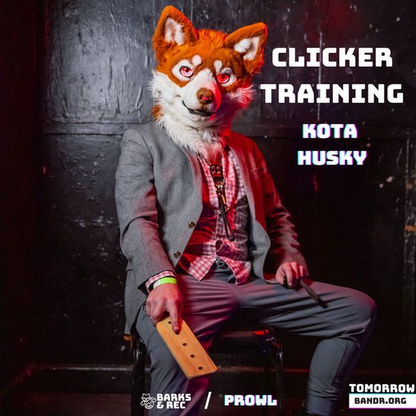 Kota Husky will be hosting a puppy Demo at Prowl tomorrow at 10pm