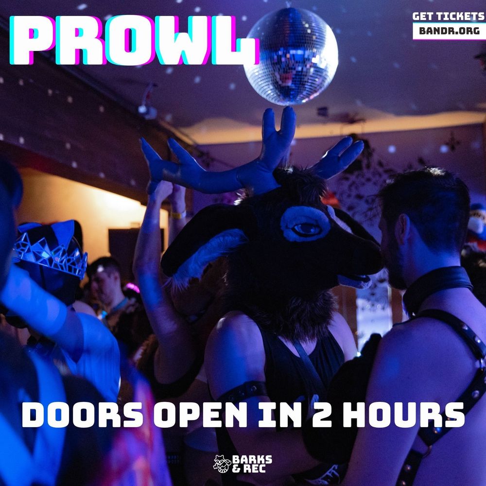 Party goers at Prowl dancing under a disco ball