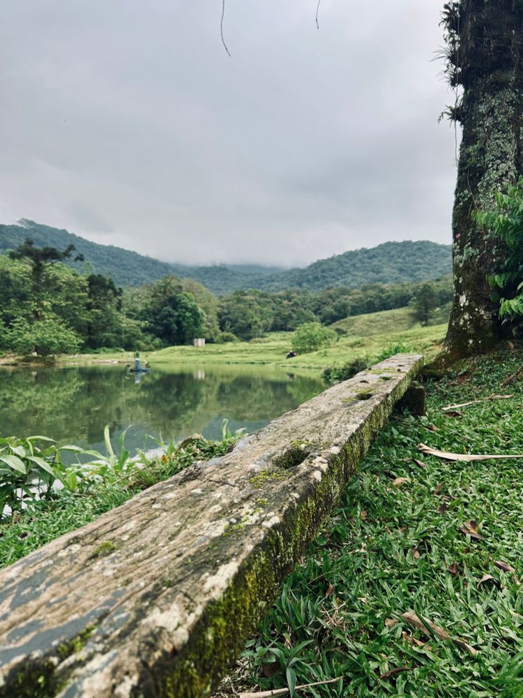 A foto mostro um banco de madeira estreitos, coberto de musgo, sobre um gramado. Atrás há um lago, árvores, e morros verdes bem próximos, com os topos cobertos de densas nuvens.
