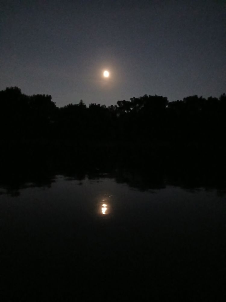 Lake at night