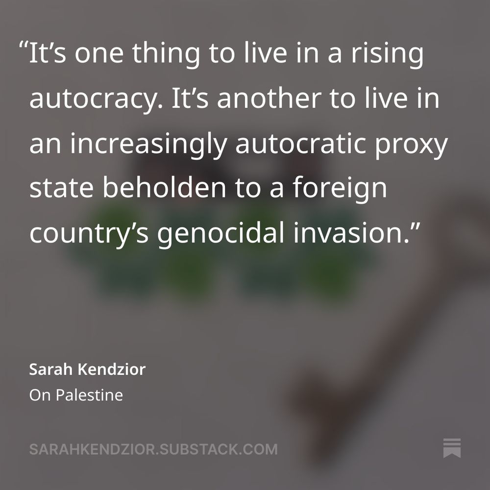 From free article, look for "Red Lines":
https://sarahkendzior.substack.com/p/on-palestine