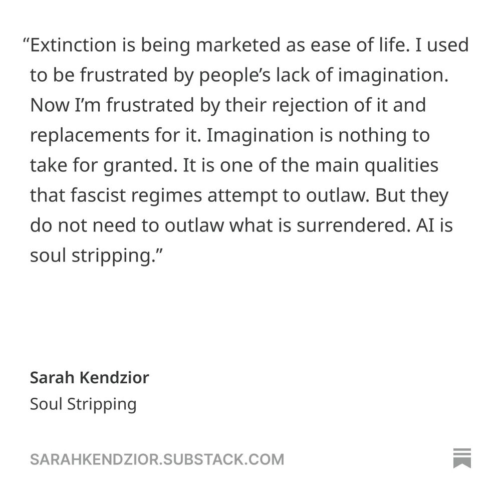 free article: https://sarahkendzior.substack.com/p/soul-stripping