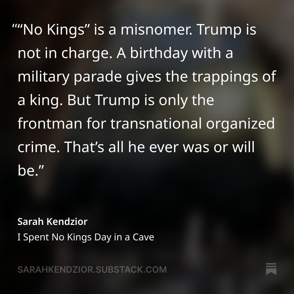 Excerpt of free article https://sarahkendzior.substack.com/p/i-spent-no-kings-day-in-a-cave