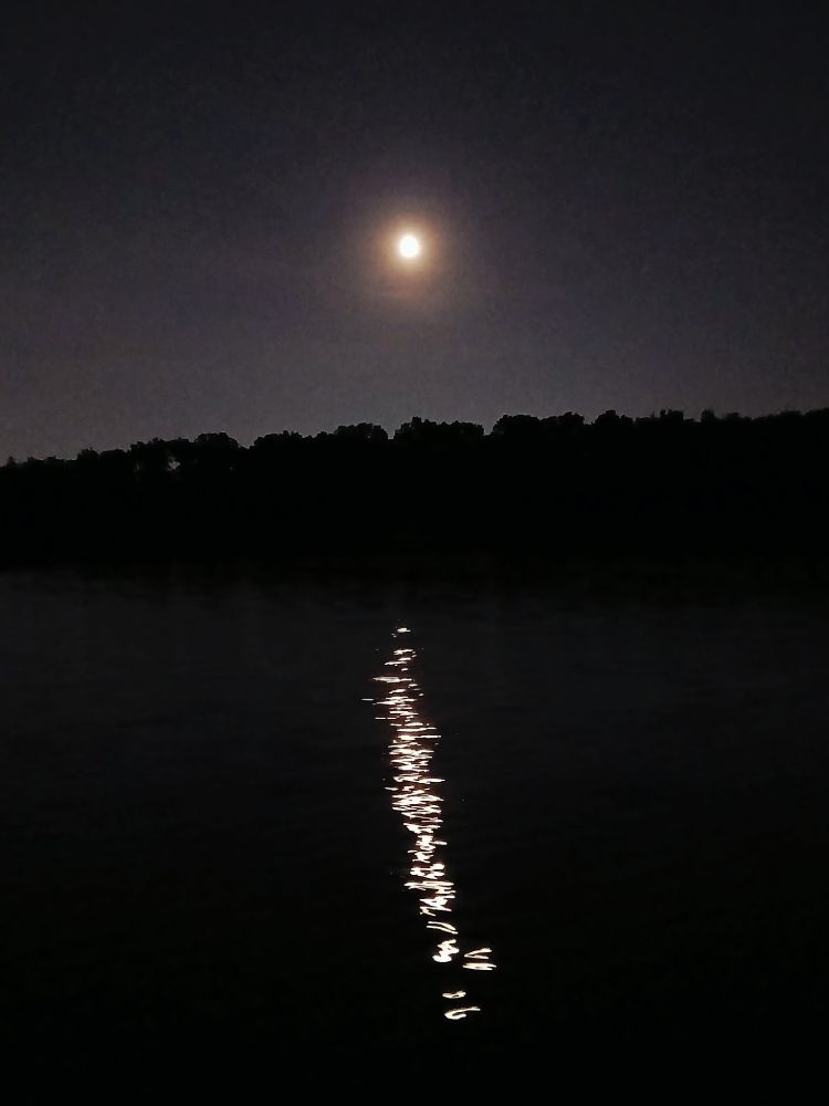 Moon at night