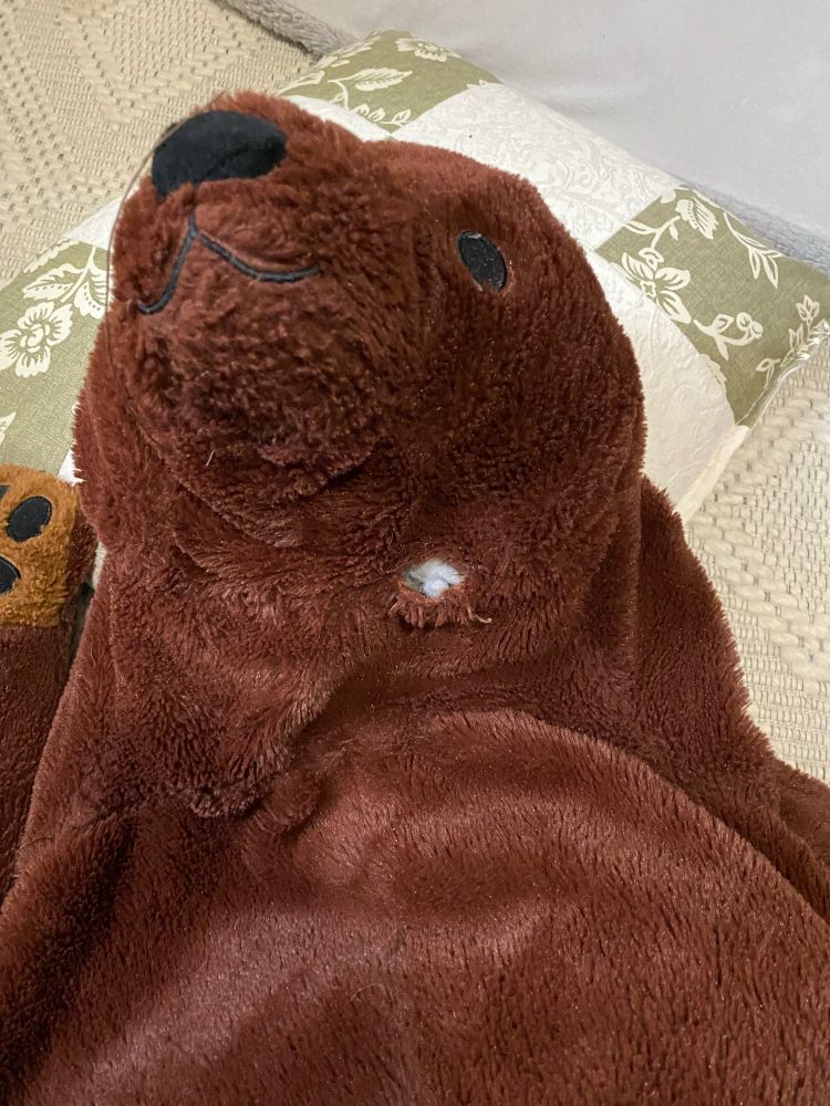 bear plush with a tear in stitching at the neck revealing some stuffing 