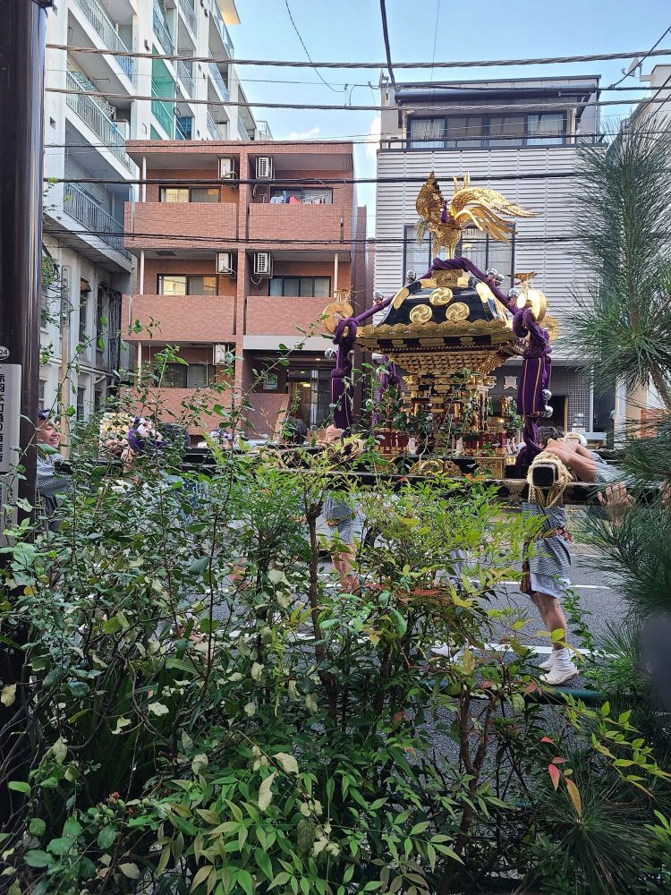赤羽八幡神社例大祭御神輿