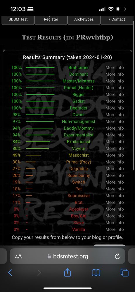 My BDSM test results 