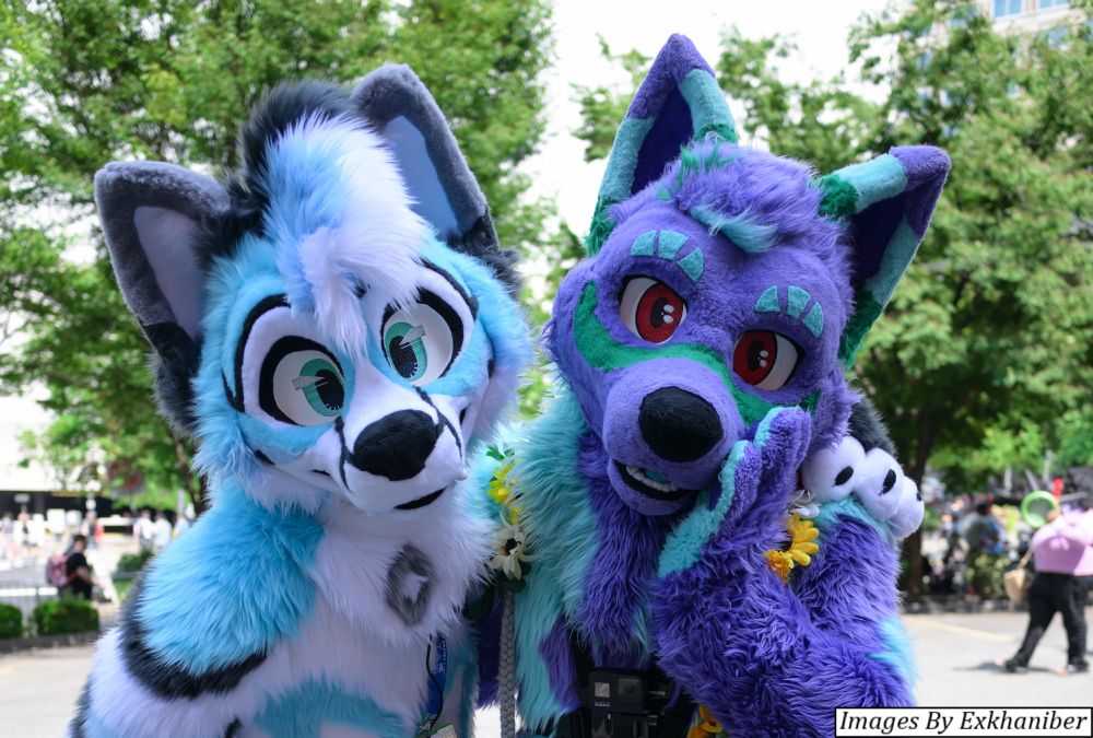 A photo of two fursuiters outside at the beginning of the Anthrocon block party.  A blue husky on the left, a purple husky on the right whom is resting his hand on his cheek.  They are looking directly into the camera.