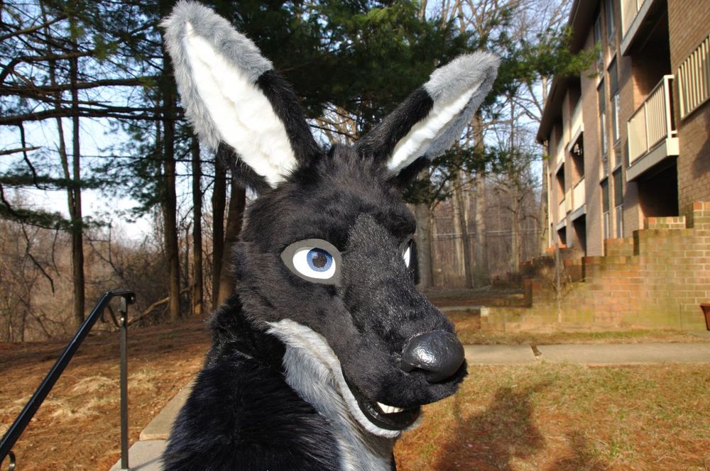 A black-and-silver kangaroo fursuit photographed in front of a building and some forest.