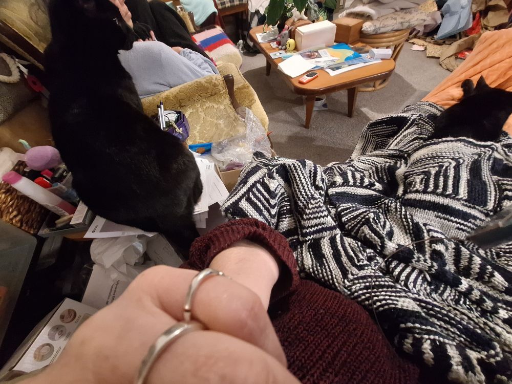 A black cat sitting on a coffee table beside a person. 