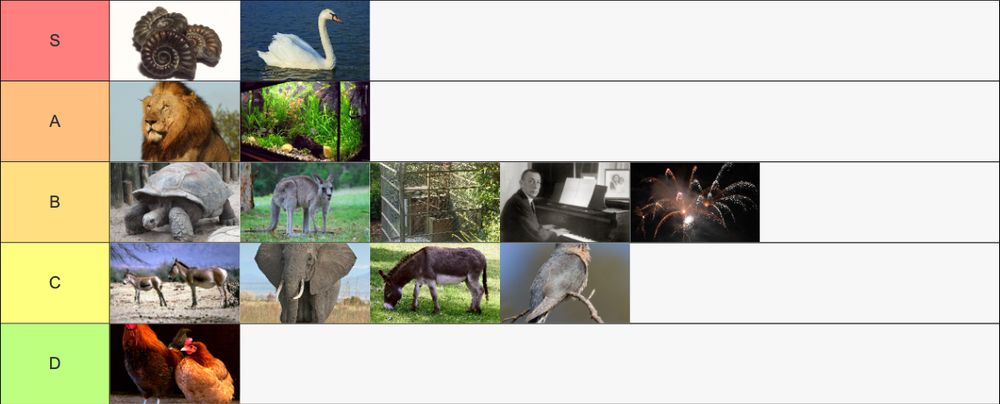 A tier-list ranking of the animals from Camille Saint-Saëns' "The Carnival of the Animals". Fossils and The Swan are S-tier; Royal March of the Lion and Aquarium are A-tier; Tortoises, Kangaroos, Aviary, Pianists, and Finale are B-tier; Wild Asses, The Elephant, Characters with Long Ears, and The Cuckoo are C-tier; finally, Hens and Roosters are D-tier.