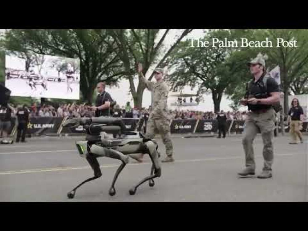 'The future' of military combat: Robotic dog walks in Army parade on Donald Trump's birthday