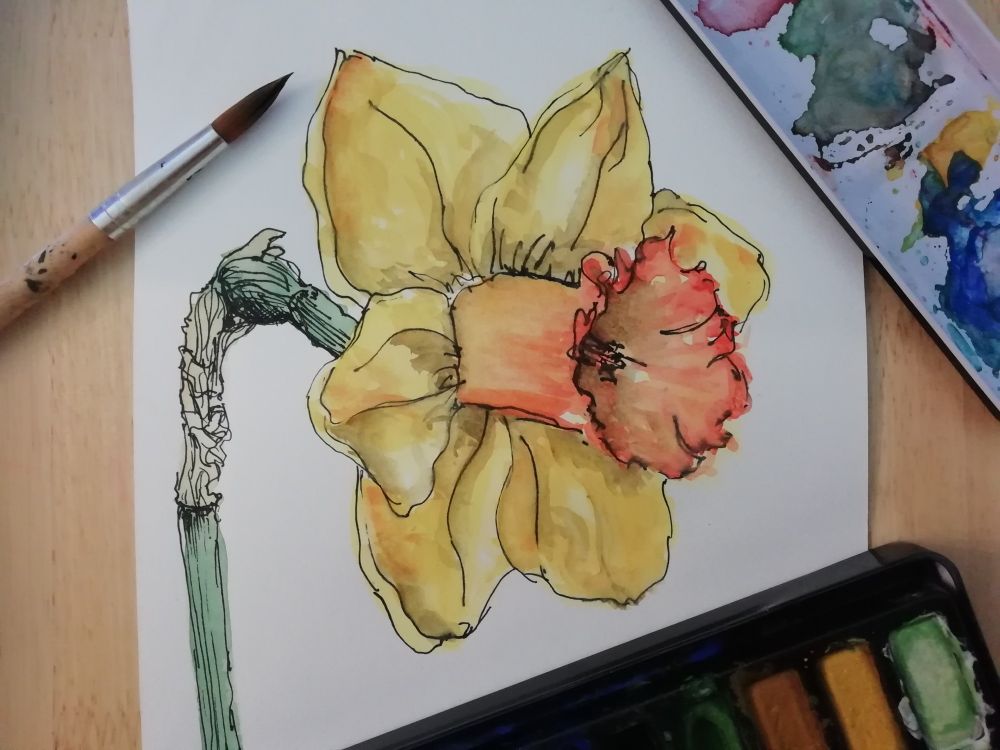 A watercolor painting of a yellow and orange daffodil on white paper. There is black pen drawn over the top of the painting, to define details on the petals and the green stem. A paintbrush with a wooden handle sits on the paper and a watercolor paintbox is partly visible in the background.