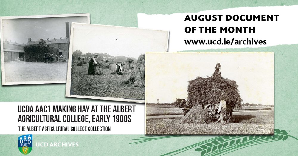 Two black and white photos and one sepia-toned photograph depicting agricultural scenes with hay stacks and wagons with people.