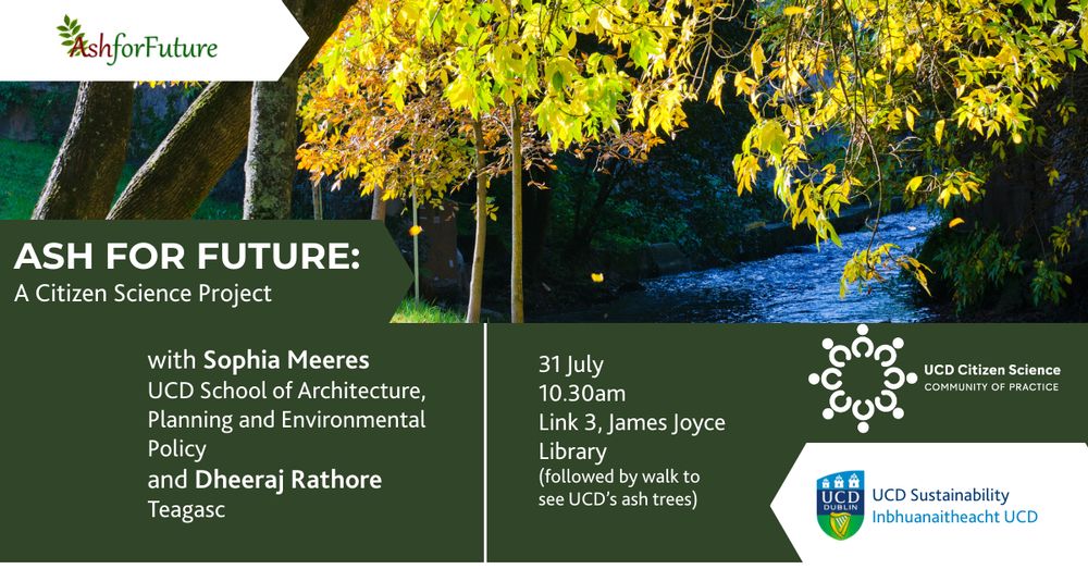 Ash trees in early Autumn. UCD Citizen Science welcomes Ash for Future on 31 July at 10.30am in the James Joyce Library.