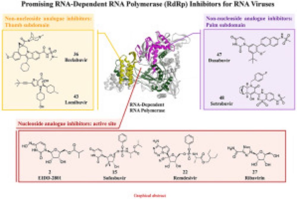 RNA-dependent RNA polymerase (RdRp) inhibitors: The current landscape and repurposing for the COVID-19 pandemic