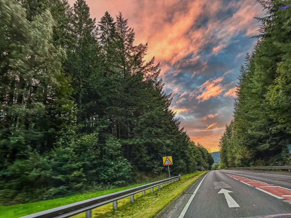 A journey through a photographer's lens
Autumn sunrise- road to home 