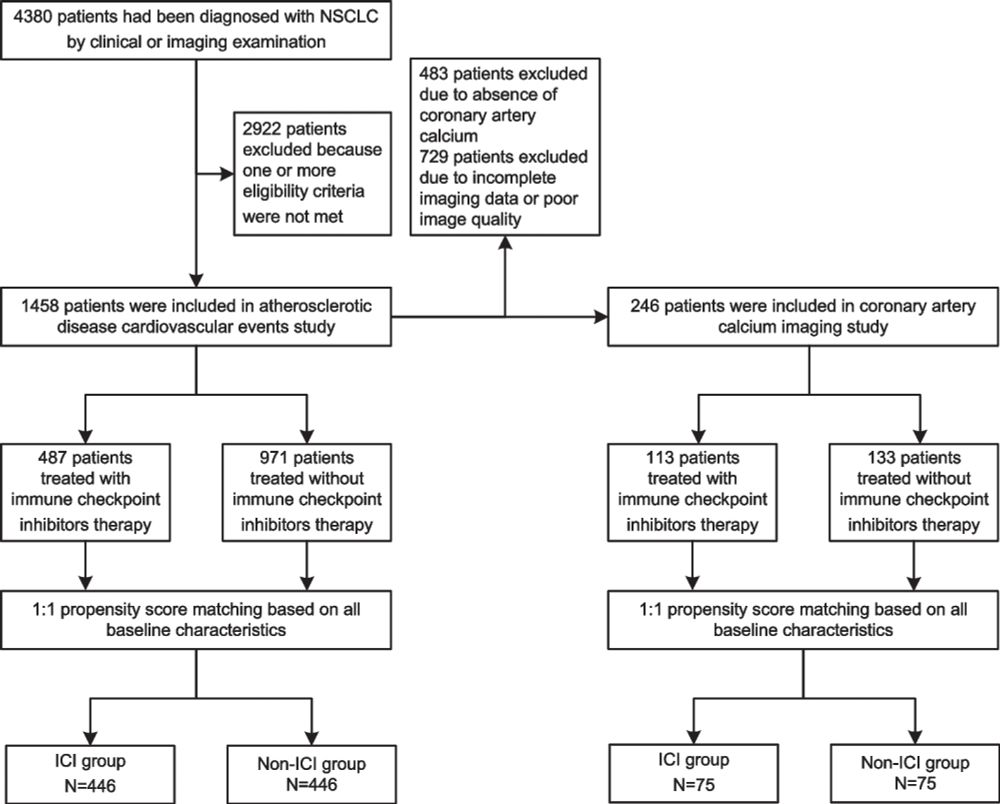 Immune checkpoint inhibitors in cancer: the increased risk of atherosclerotic cardiovascular disease...