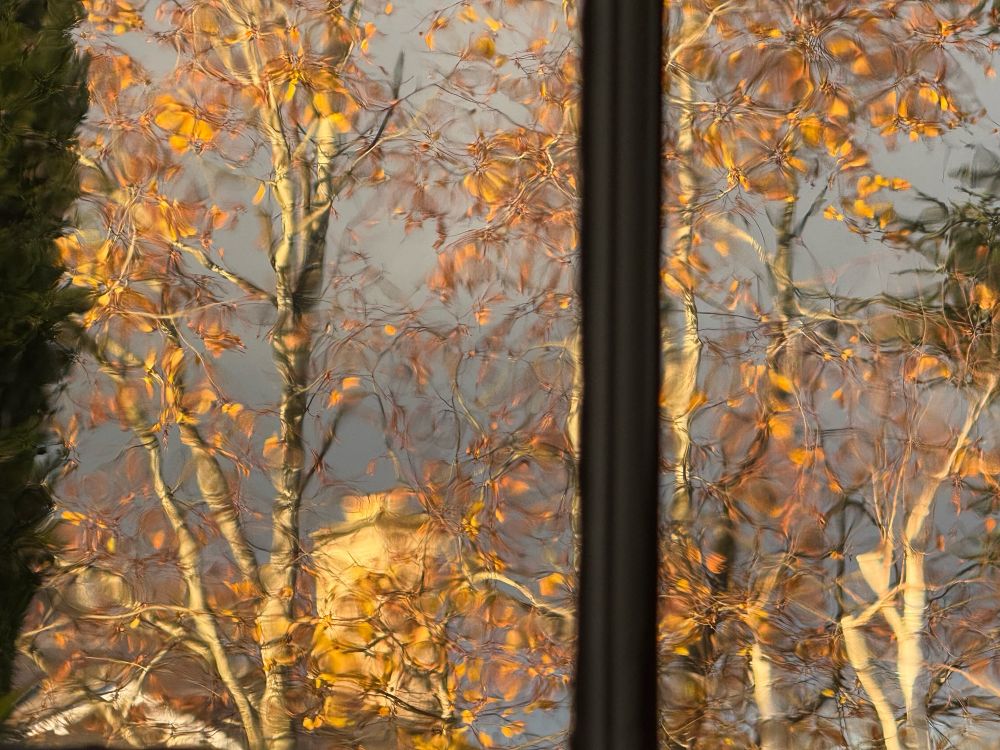 From the window with the trace of sunset