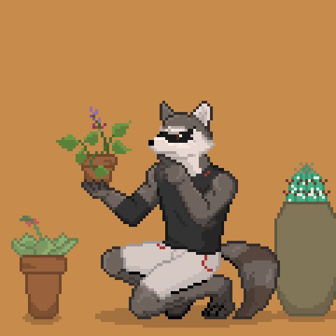 Pixel art of Kudzu, a raccoon anthro from visual novel Echo, he's holding a pot with a kudzu plant and is surrounded by more potted plants.