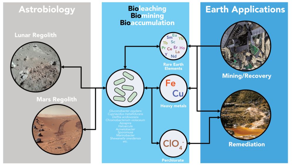 Figure 3 from the preprint https://doi.org/10.31223/X59T74 showing microbial strategies for biomining and bioremediation across space and Earth applications. See the article for a full caption.